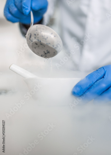 Laboratory technician performs an experiment with liquid nitroge