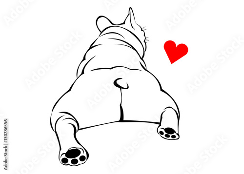 dog, vector, breed, cute, pet, animal, bulldog