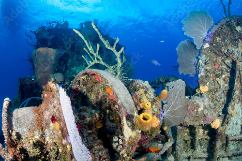 An old, coral encrusted shipwreck photo