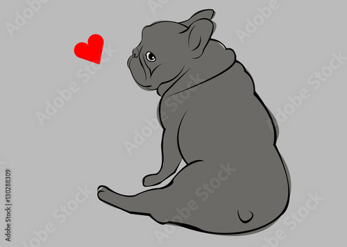 dog, vector, breed, cute, pet, animal, bulldog