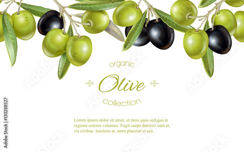 Olive horizontal banner
