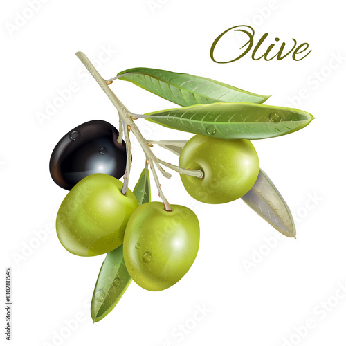 Olive horizontal banner