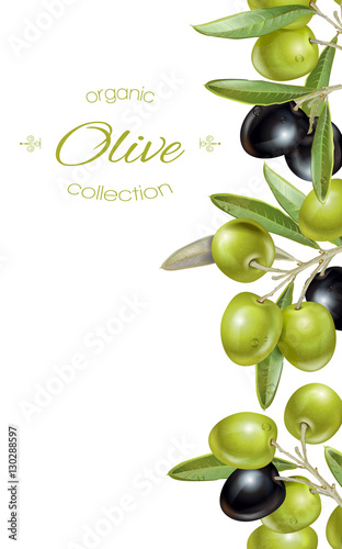 Olive vertical banner