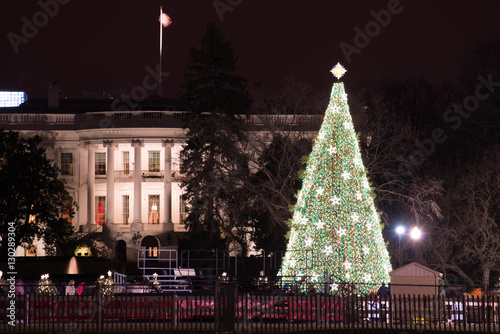 The White House and Christmas Tree - Washington DC, United States