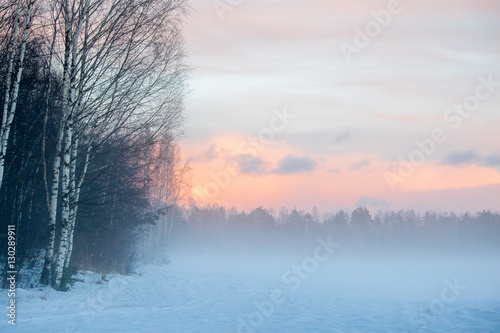 Fog in the forest in winter. © andrisa18