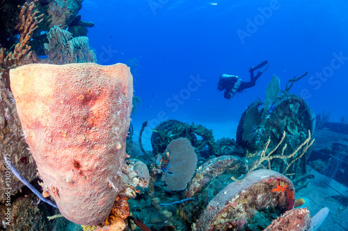 Technical SCUBA diver swims past an old, sponge and coral encrusted shipwreck photo