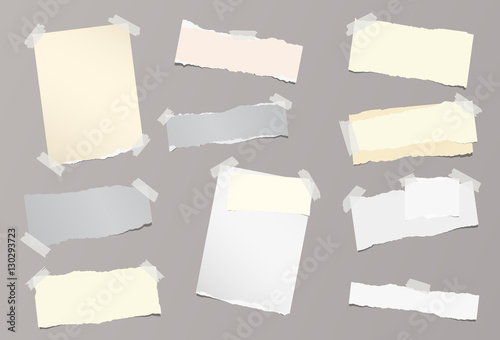 Pieces of different size ripped note, notebook, copybook sheets stuck with sticky tape on background.