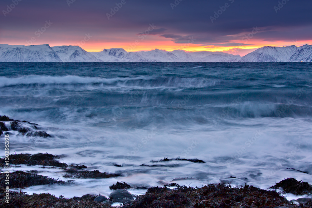 The seashore in arctic light