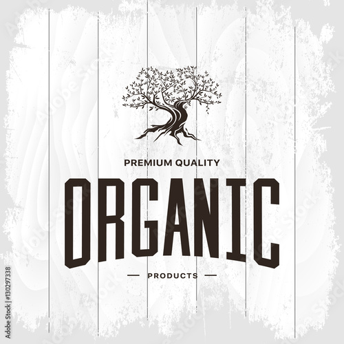 Olive tree vintage logo concept isolated