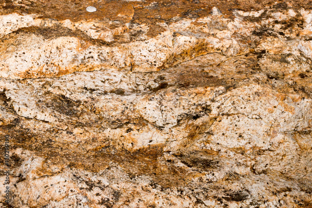 rock pattern background from sea in natural or park rock pattern background from sea in natural or park