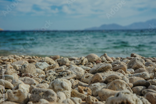 beautiful beach in red sea with green blue azur water and nice blue sky