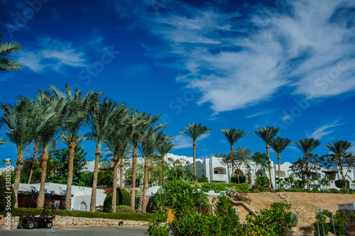 white house on red sea palm desert tropical view © Med Photo Studio