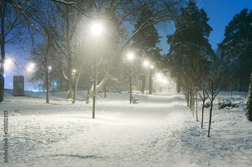 Snowy city park in light of lanterns at evening.Snow-covered trees and benches,footpath in a fabulous winter night park.Winter landscape/Winter night park scene