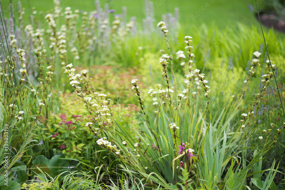 Flowers Flowers