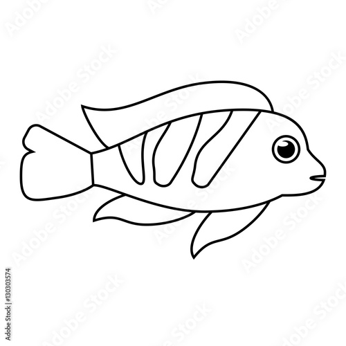Fish animal cartoon icon. Sea life ecosystem fauna and ocean theme. Isolated and silhouette design. Vector illustration