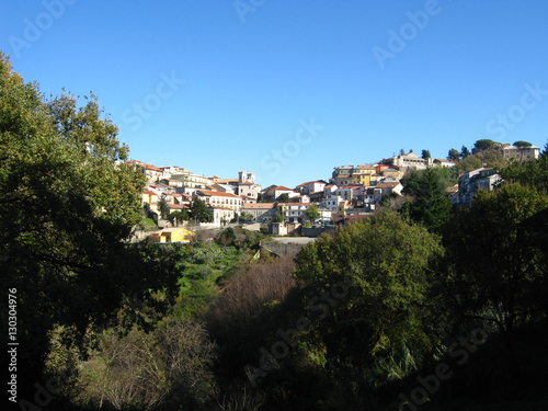 Panorama tra gli alberi