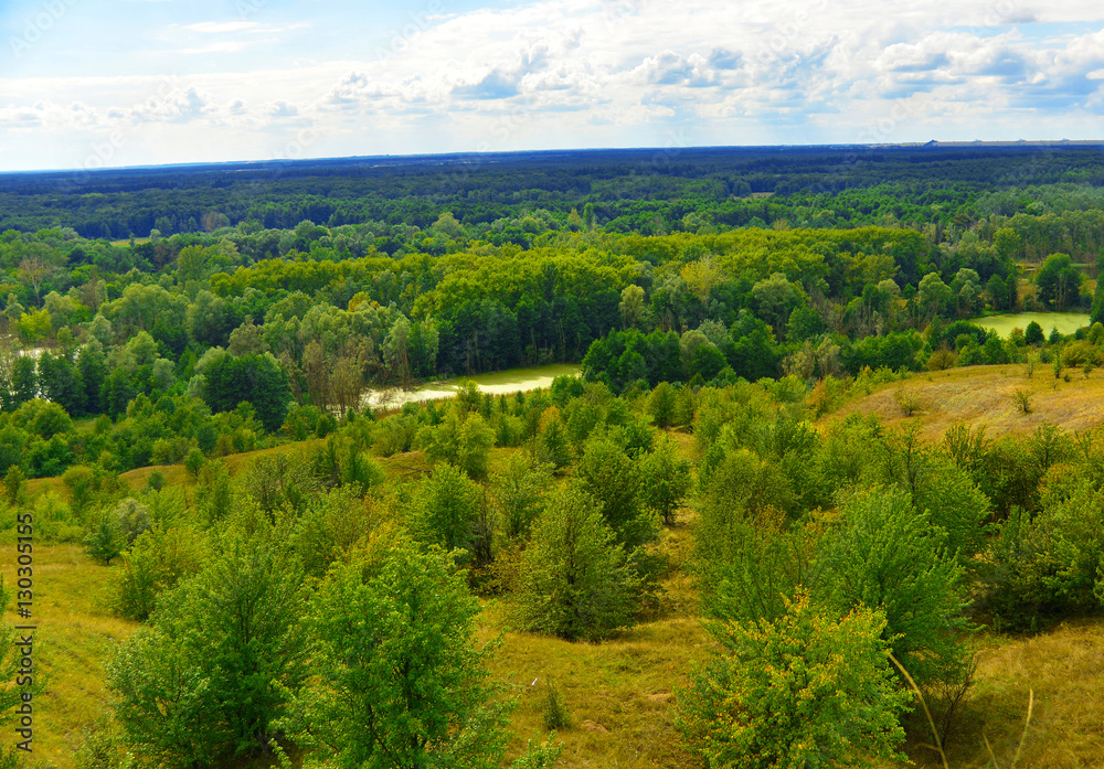 Fototapeta premium Beautiful summer landscape. Grass, trees, clouds, sky, forest an
