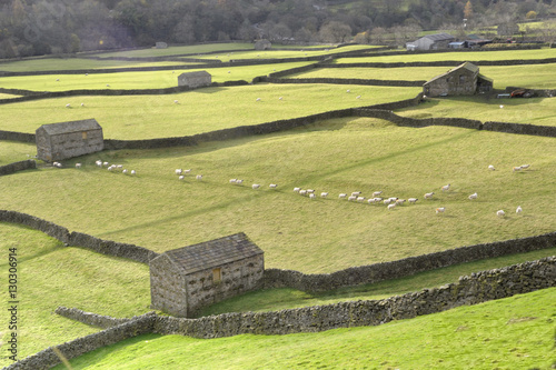 Gunnerside, Swaledale photo
