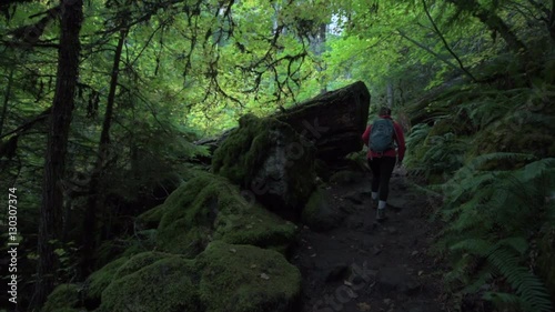 Watson Falls Trail Umpqua National Forest Oregon