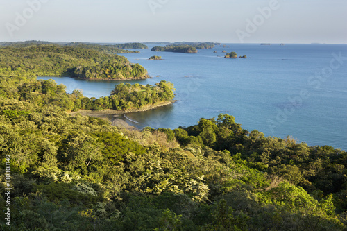 Thick vegetation on Boca Chica island in the Chiriqui Marine National Park, Panama photo
