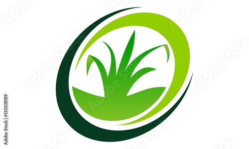 Green Project