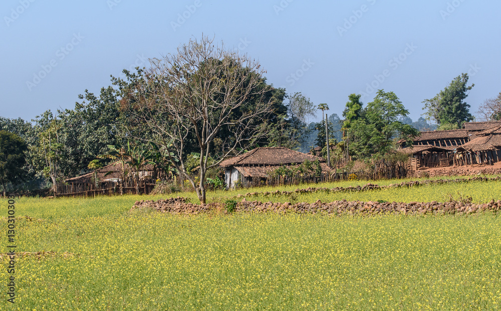 Obraz premium mustard field