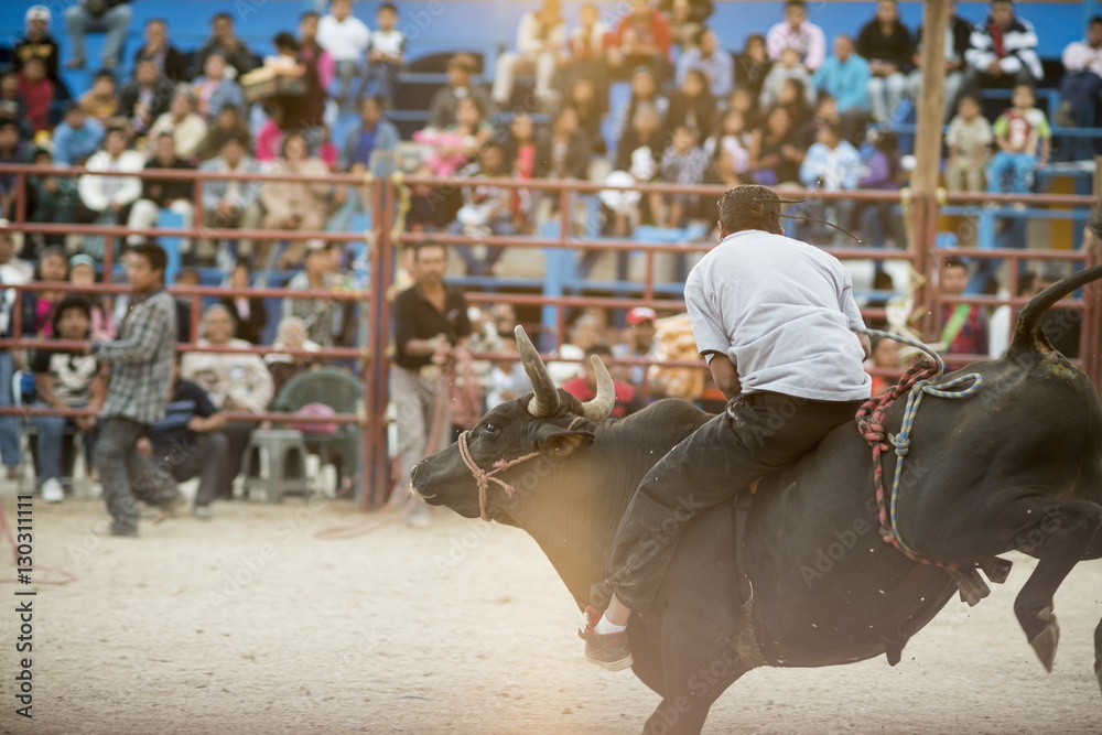 Rodeo at Santa Cruz Papalutla, Oaxaca, Mexico StockFoto Adobe Stock