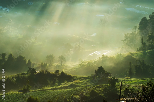 rays of the sun breaking through the fog at Mon Cham Hill, Chian