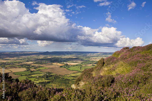 Looking towards Roseberry Topping and Cleveland from Busby Moor, North Yorkshire Moors, Yorkshire