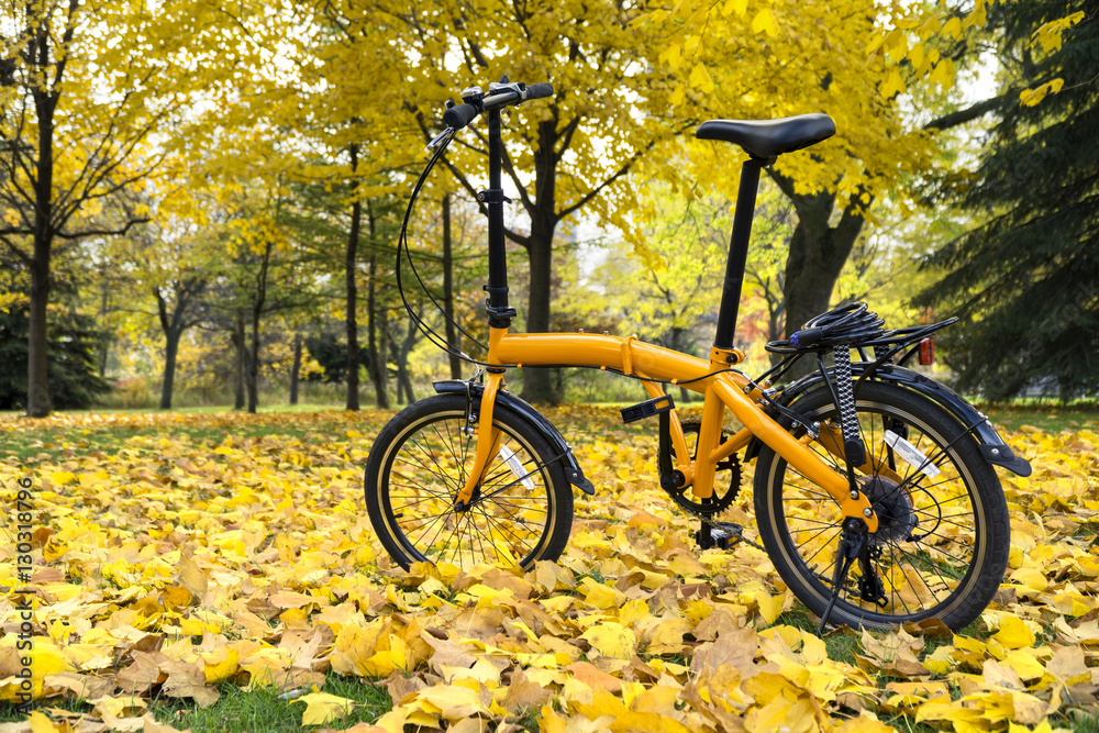 Fototapeta premium Orange folding bike in the forest an autumn day