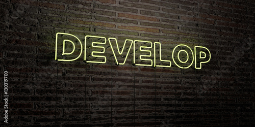 DEVELOP -Realistic Neon Sign on Brick Wall background - 3D rendered royalty free stock image. Can be used for online banner ads and direct mailers..