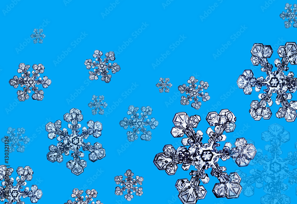 Snowflakes Snowflakes