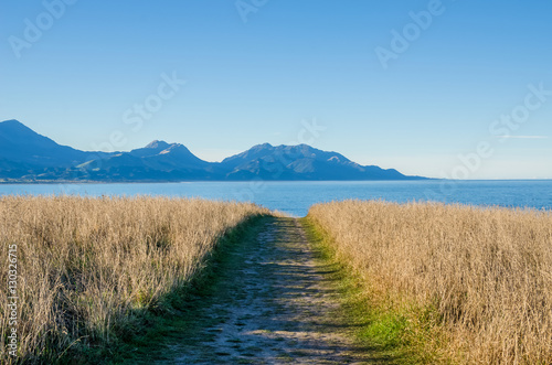 Pathway at the Point Kean Viewpoint, Kaikoura New Zealand. photo
