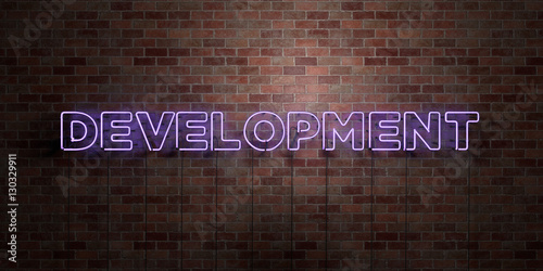 Canvas Print DEVELOPMENT - fluorescent Neon tube Sign on brickwork - Front view - 3D rendered royalty free stock picture