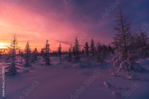Winter landscape. Snowscape. Forest, sun and shadows.