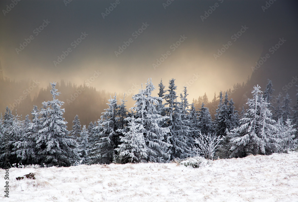 Obraz premium amazing winter sunrise through fog in the mountains