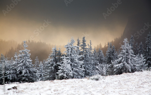 amazing winter sunrise through fog in the mountains © Melinda Nagy