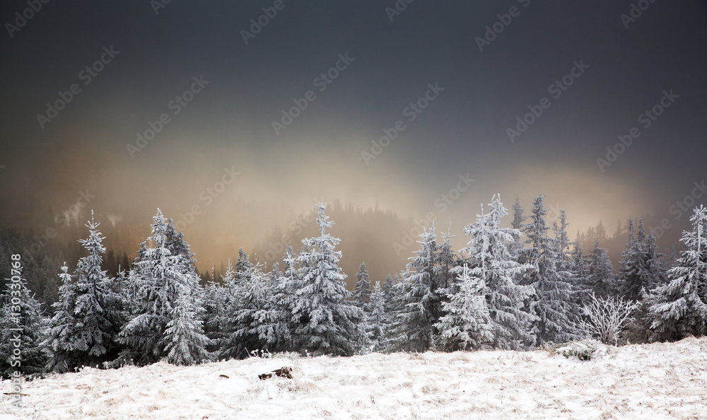 Fototapeta premium amazing winter sunrise through fog in the mountains