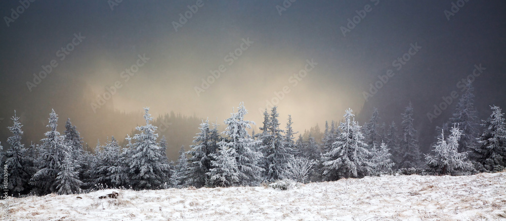 Fototapeta premium amazing winter sunrise through fog in the mountains