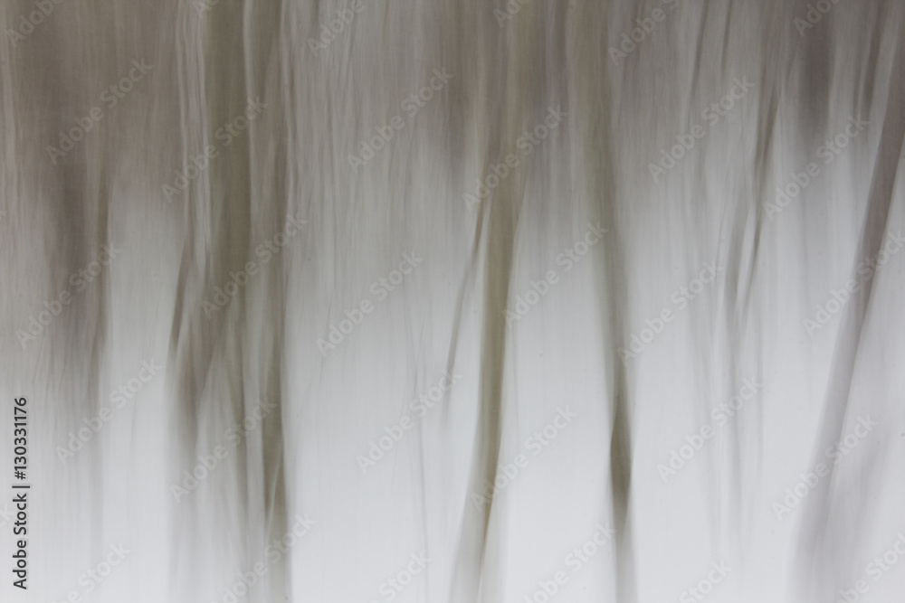 Obraz premium Abstract of trees in snow
