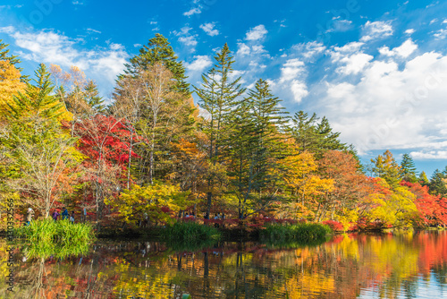 Autumn colours pond photo