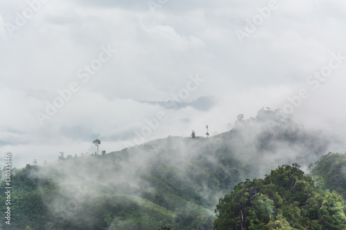 landscape of mountain and fog , Krabi ,Thailand