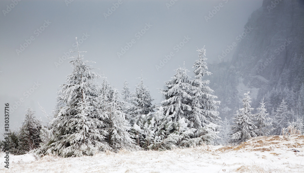 amazing winter sunrise through fog in the mountains amazing winter sunrise through fog in the mountains
