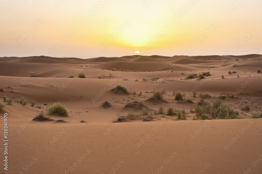 Erg Chebbi dunes at sunrise, Sahara Desert near Merzouga, Morocco Erg Chebbi dunes at sunrise, Sahara Desert near Merzouga, Morocco