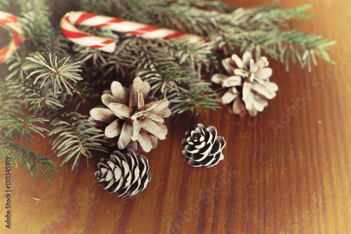 branches of a pine cone Christmas