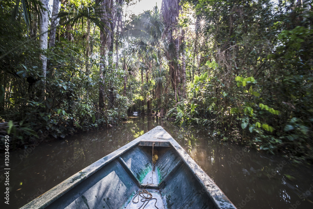 Canoe boat trip in Amazon Jungle of Peru, by Sandoval Lake in Tambopata ...