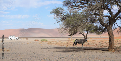 namibian landscape