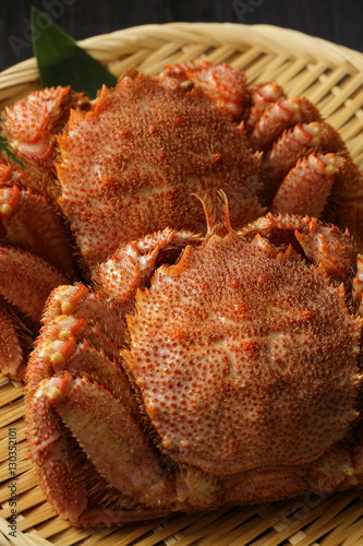 毛蟹　Hair crab