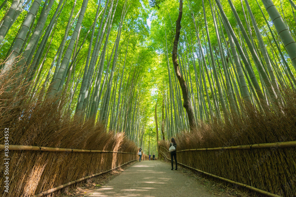 Fototapeta premium Bambusowy las w Japonii, Arashiyama, Kioto