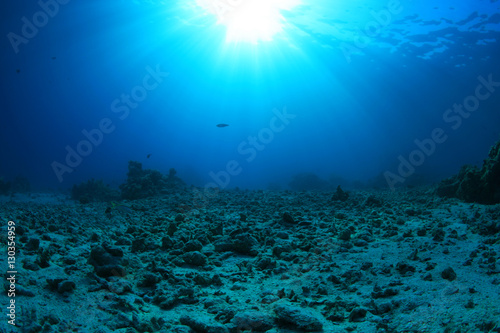 Fototapeta Naklejka Na Ścianę i Meble -  Damaged coral reef